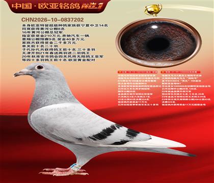 电脑041X桑杰士006