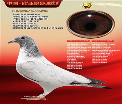 乔斯托内白雪公主683X209