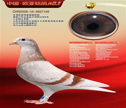 西佛依托全国冠军泰山号多重近亲419X076