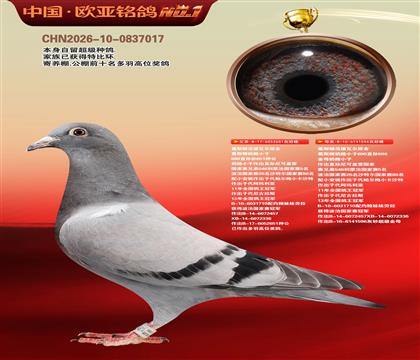 葛斯顿奶酪651X596近亲