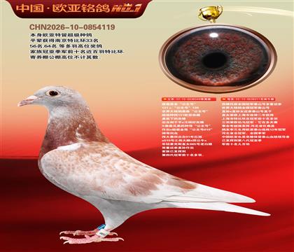 詹森131直子349X泰山号311黄金配对