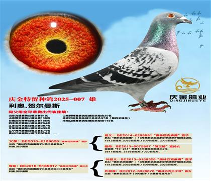 利奥.赫尔曼斯“奥林匹克麻鹰”直孙x“奥林匹克麻鹰”直孙女