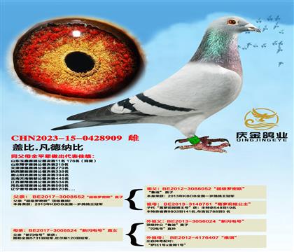 盖比.凡德纳比“超级罗密欧”直子x“新闪电”直女