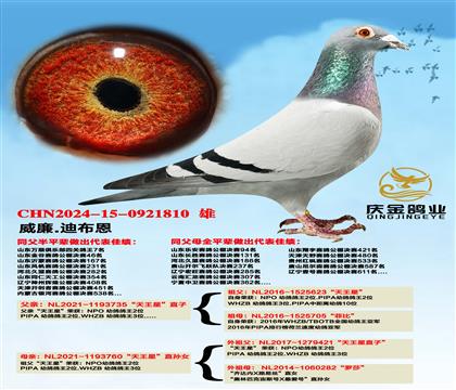 威廉.迪布恩“天王星”直子x“天王星”直孙女