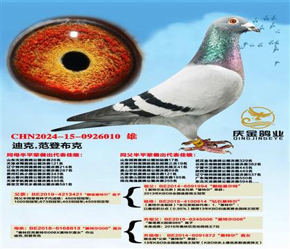 迪克.范登布克“翻版基特尔”直子x“基特尔006”直女