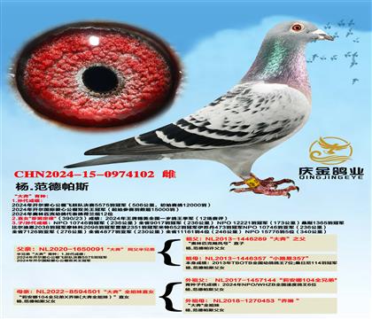 杨.范德帕斯“大奔”同父半兄弟x“大奔”全姐妹直女