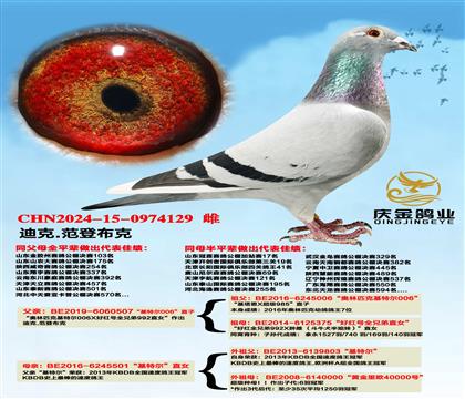 迪克.范登布克“基特尔006”直子x“基特尔”直女