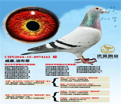 威廉.迪布恩“墨菲定律”直子x“墨菲定律”直女
