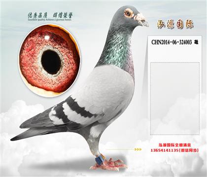 起棚种雄 “奥林匹克003”直子X“萨菲尔”直女
