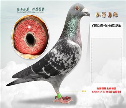 “鲁迪”直子X“鲁迪”直孙女