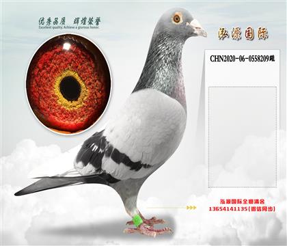 “基特尔”直子X“基特尔”直女