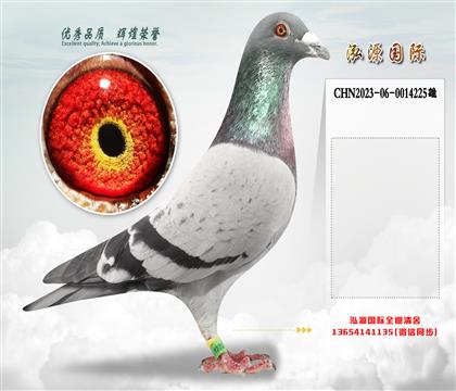 杨欧瓦克“483号”直孙X“483号”直女