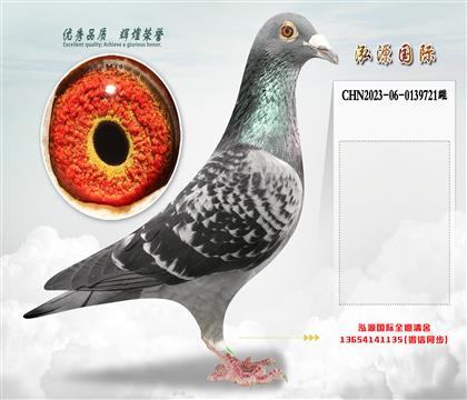 “所向无敌”直孙X“所向无敌”外孙女