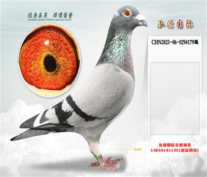 “基特尔”外孙X“基特尔”直孙女