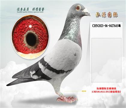 “迪卡普里奥”直孙X“迪卡普里奥”直孙