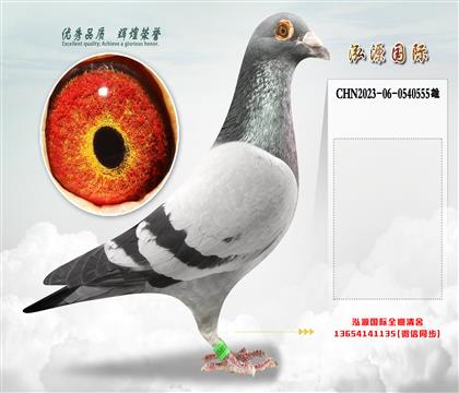 “欧元号”直孙X“欧元号”直孙女