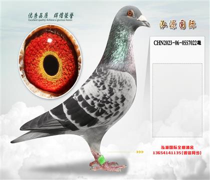 “所向无敌”直孙X“所向无敌”回血