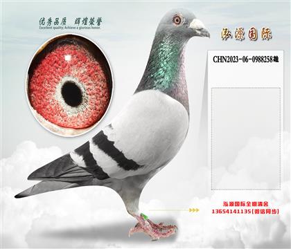 “奶酪240”直孙X“奶酪240”直女