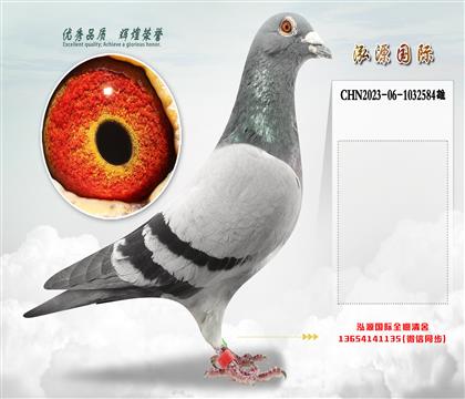 “欧元号”直孙X“欧元号”直孙女