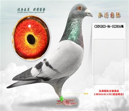 “御林军总教头”直孙X“御林军总教头”直孙女