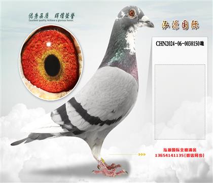 “基特尔”直孙X“基特尔”直女