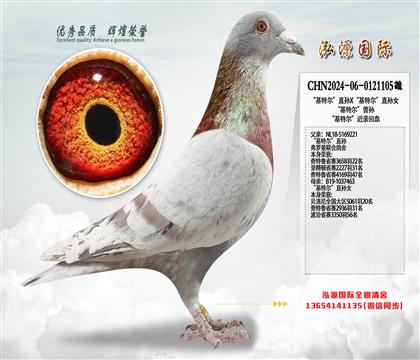 “基特尔”直孙X“基特尔”直孙女