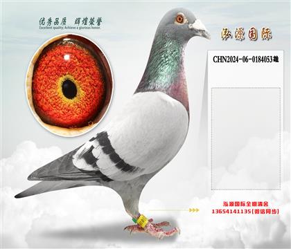 御林军“总教头”直孙X御林军“百万配对”直孙女