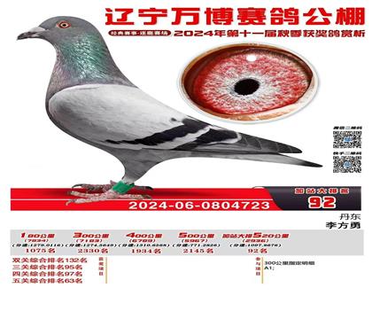 万博公棚五关63 “闪电号”直孙X“鲁迪”直孙女