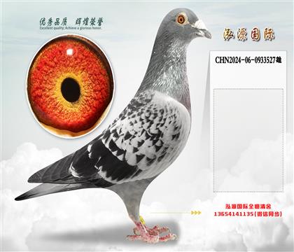 “所向无敌”近亲回血X“所向无敌”直孙女