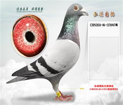 “闪电号”直孙X“新闪电号”直孙女