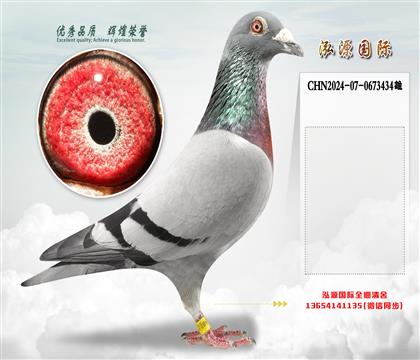 “闪电号”直孙X“闪电号”直孙女