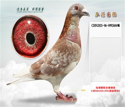 “好红号”直孙X“好红号”直孙女