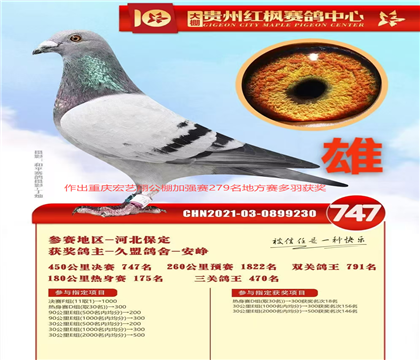 久盟参赛红枫:决赛747名