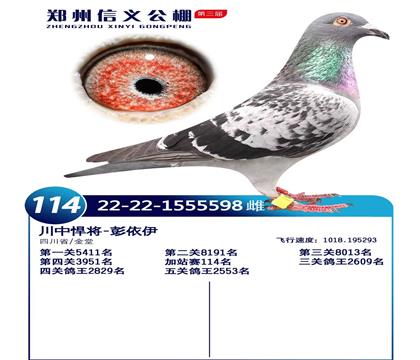 川中悍将:信义加站114名