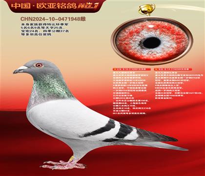 盖比超级罗密欧001×盖比闪电号直女384