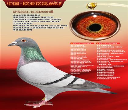 盖比原舍鲁迪直子030X“薇尔玛”新弗雷迪191