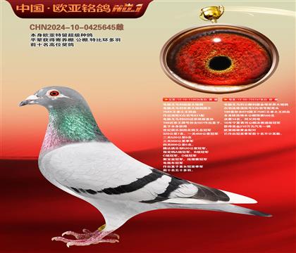 电脑超级种公926鸽王X神木14名767