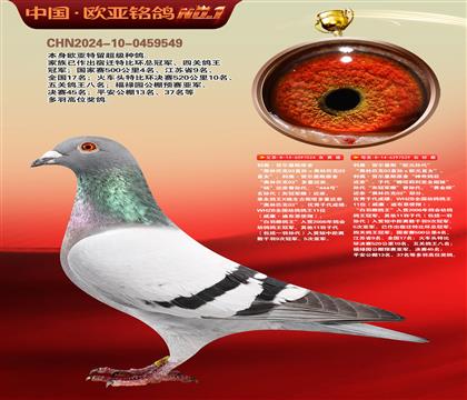 利奥原舍024X欧元孙代029