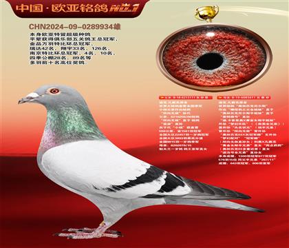 迪克.凡戴克原舍111X611奥林匹克尼尔斯