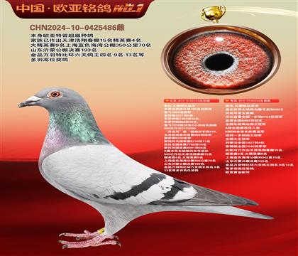 盖比原舍海王星143X皇家灰直女334