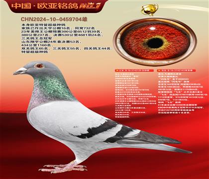盖比原舍鲁迪直子129X闪电号165