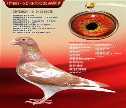 詹森断胸骨老白眼293X米歇尔杨阿腾040