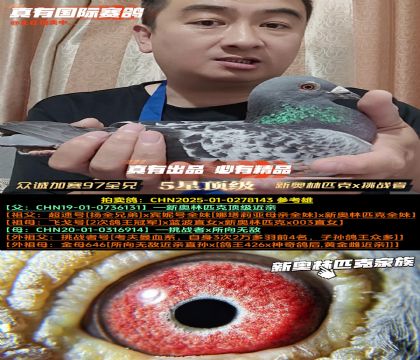 《众诚加赛97全兄弟》新奥林匹克x挑战者