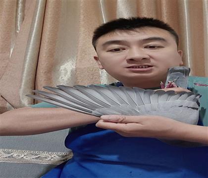 翅膀