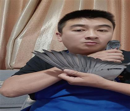 翅膀