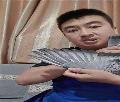 翅膀