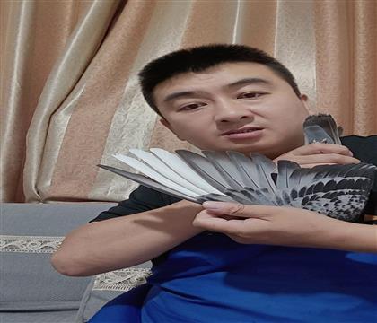 翅膀