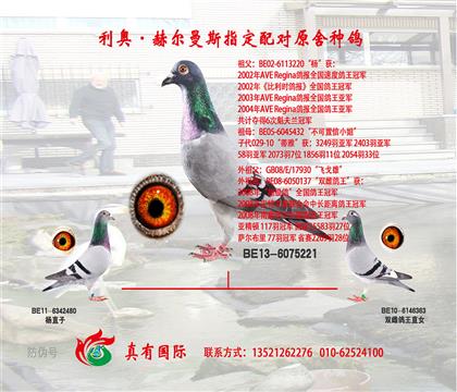 爷爷