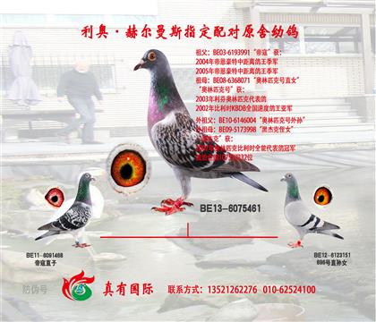 姥姥
