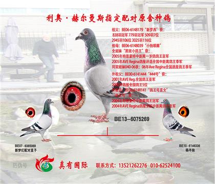 爷爷